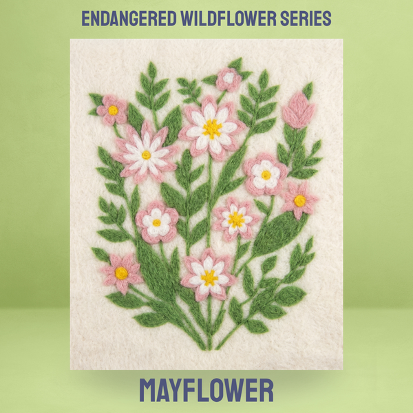 Mayflower