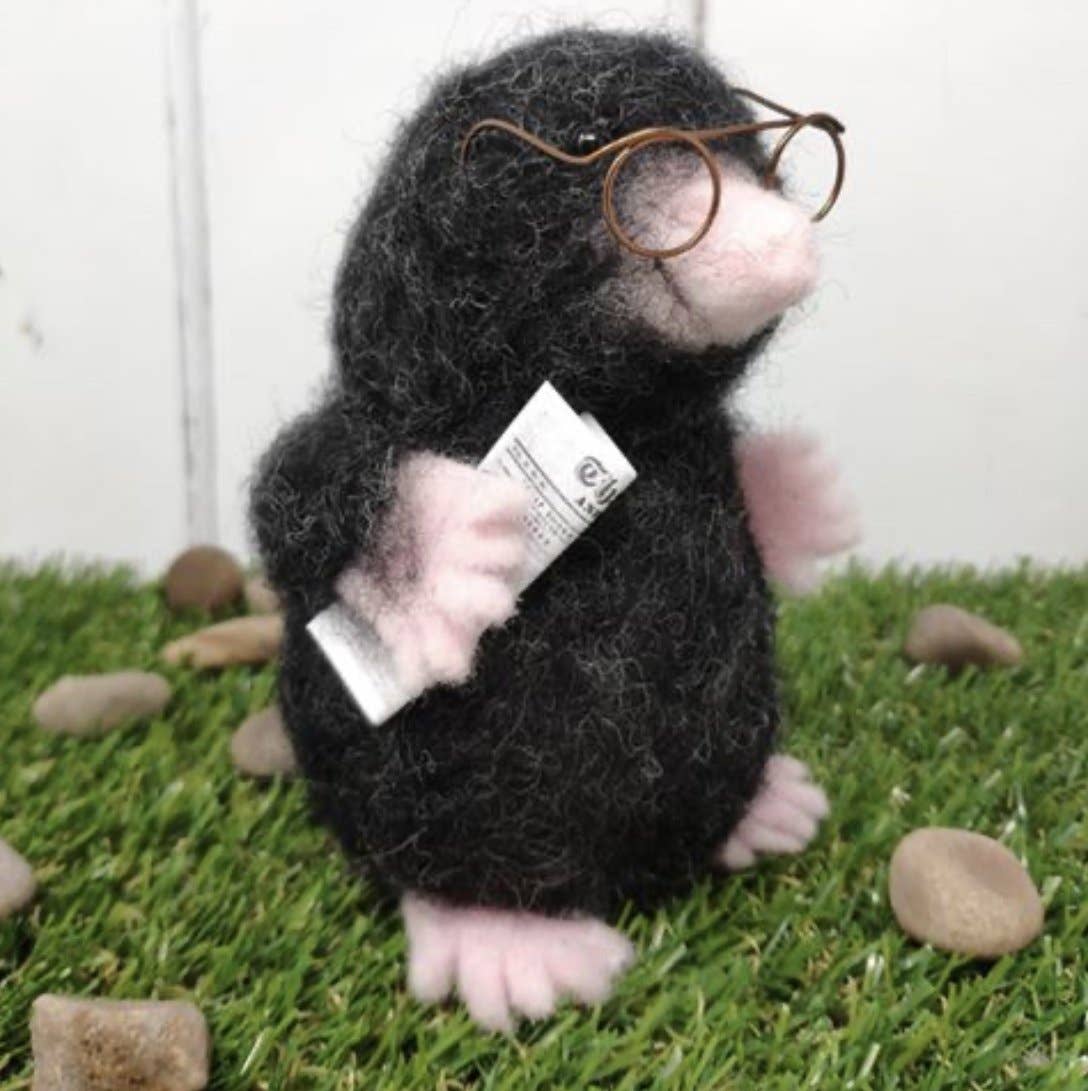 π Sale! Mister Mole Needle Felting Craft Kit