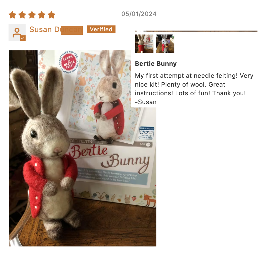 🎀 Sale! Bertie Bunny Needle Felting Craft Kit