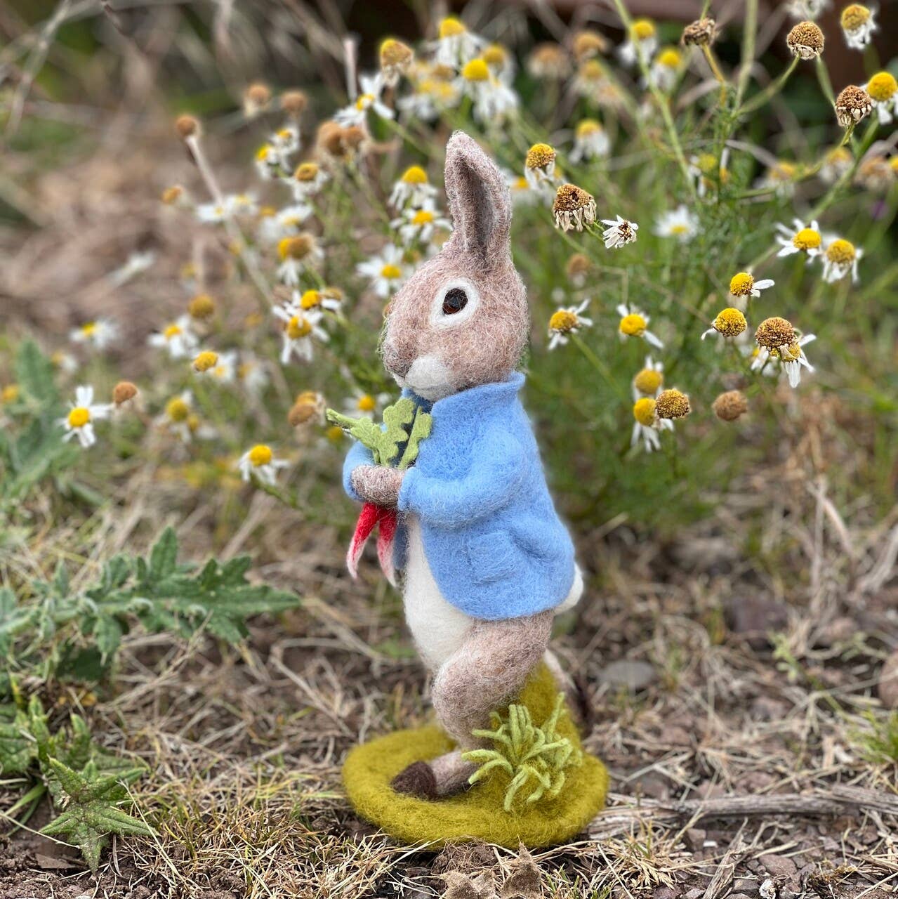 🎀 Sale! Peter Rabbit and the Stolen Radishes - Beatrix Potter Needle Felting Kit
