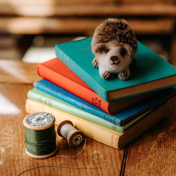 Baby Hedgehog Needle Felting Craft Kit