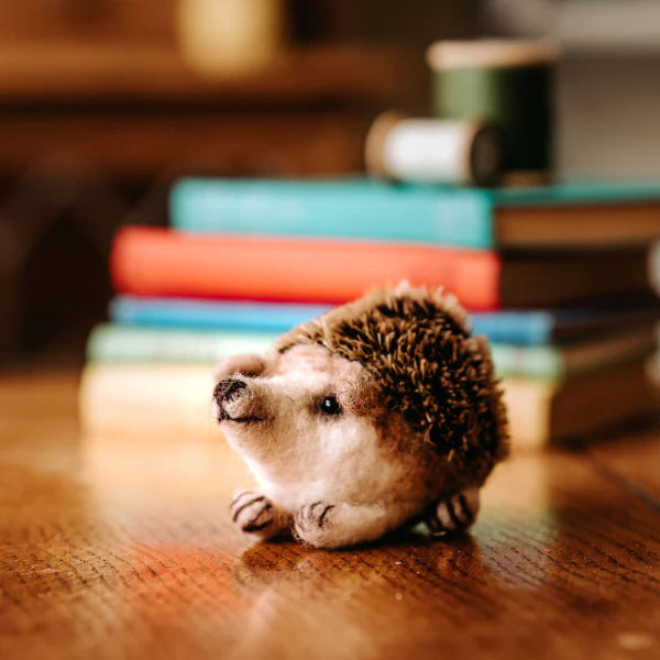 Baby Hedgehog Needle Felting Craft Kit