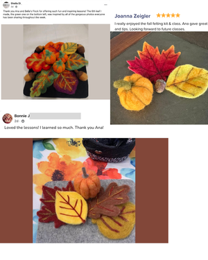 Fall Leaves Needle Felting Kit - Fall Felt-A-Long