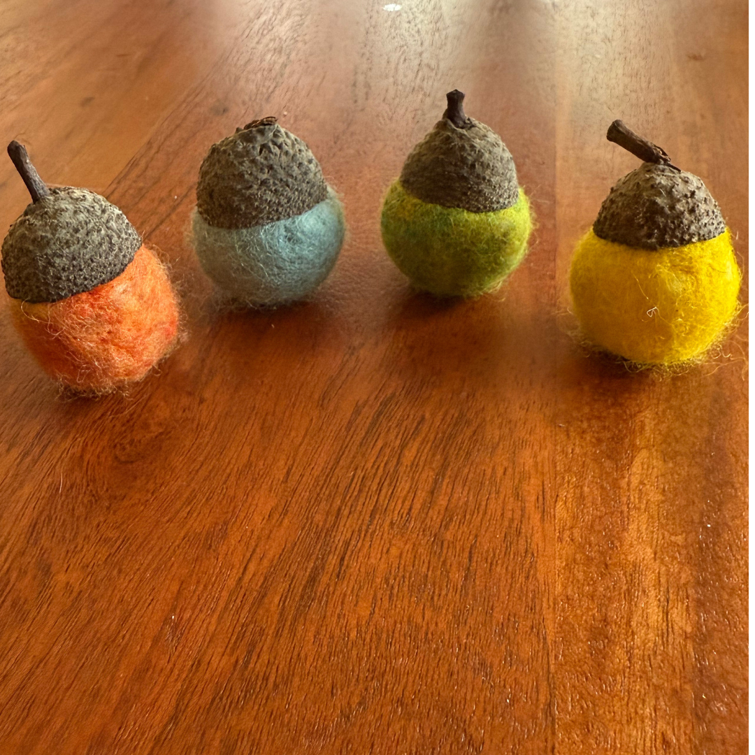 Celebrate Fall Felting Kit