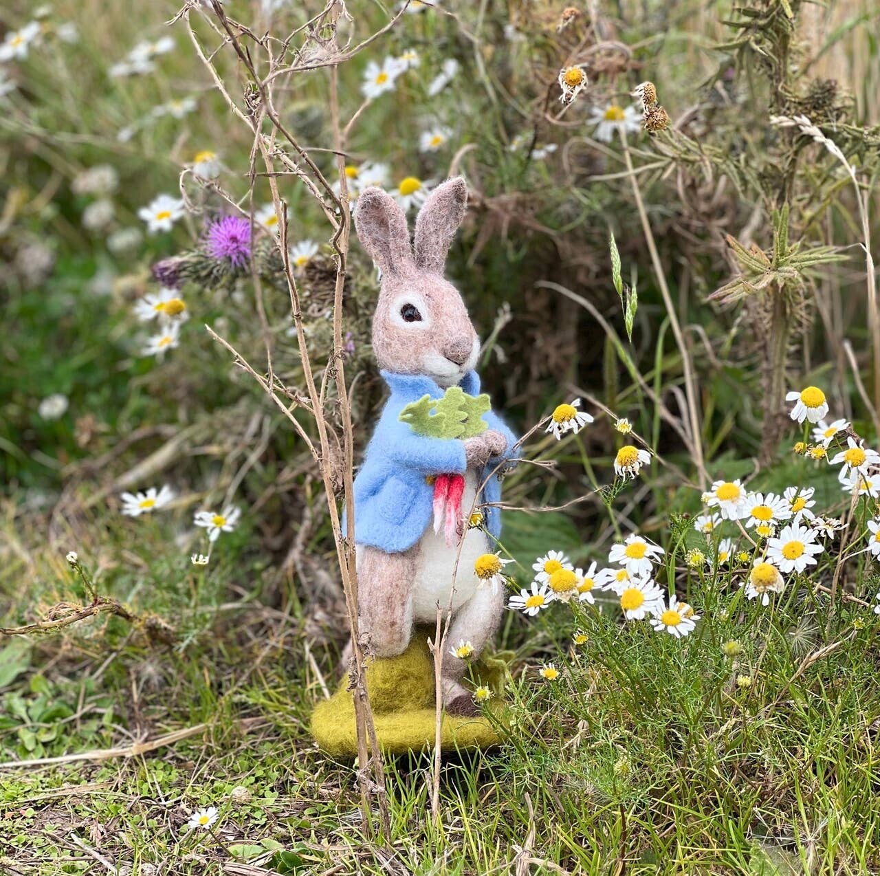 🎀 Sale! Peter Rabbit and the Stolen Radishes - Beatrix Potter Needle Felting Kit