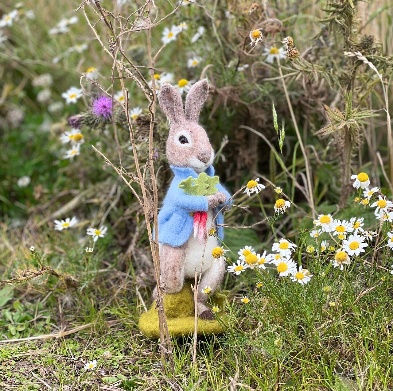 Peter Rabbit and the Stolen Radishes - Beatrix Potter Needle Felting Kit