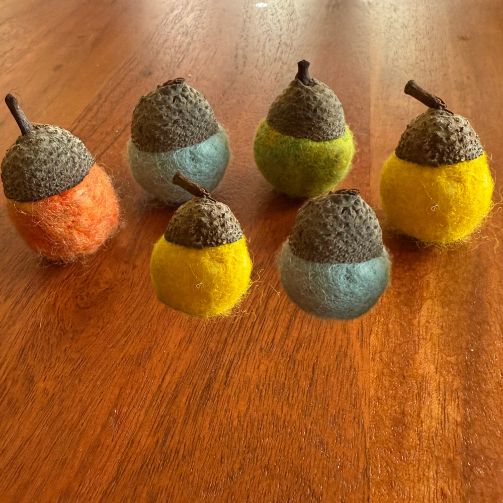 Felted Acorn Kit - 6 Acorns with real acorn tops!