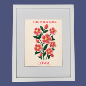 Iowa Wild Rose - State Flower Collection