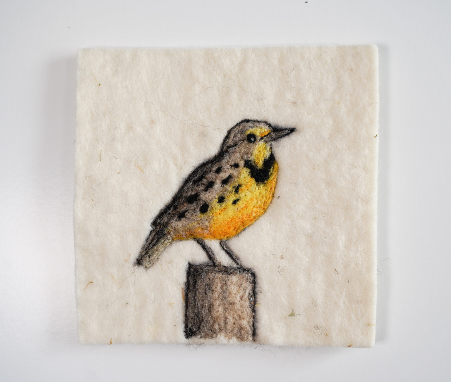 Meadowlark Needle Felting Kit