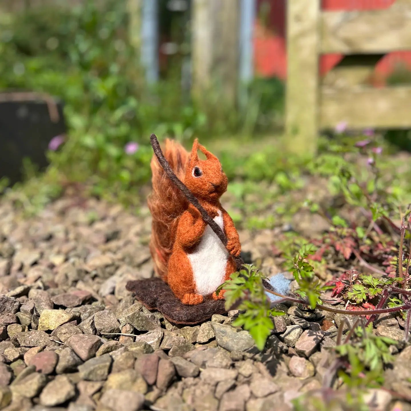 Squirrel Nutkin from Beatrix Potter