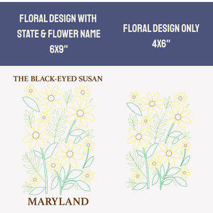 Maryland Black-Eyed Susan - State Flower Collection