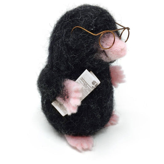 🎀 Sale! Mister Mole Needle Felting Craft Kit