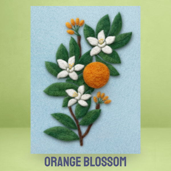 Orange Blossom
