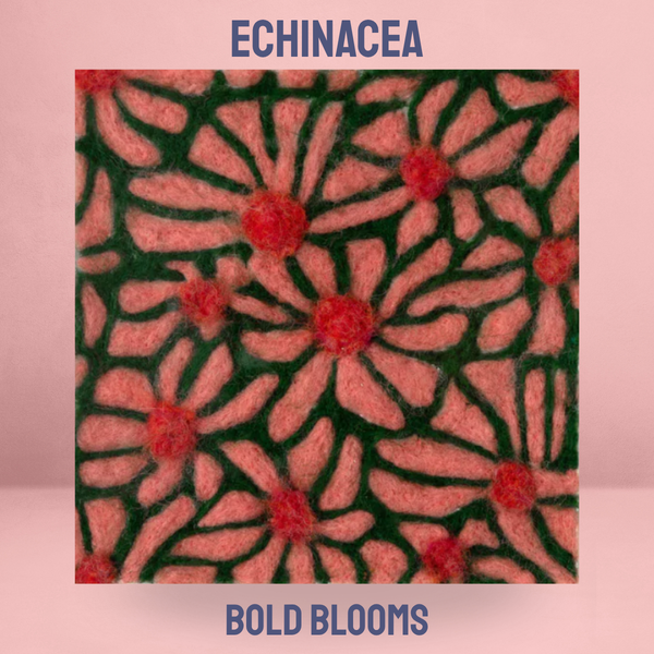 Bold Blooms Echinacea