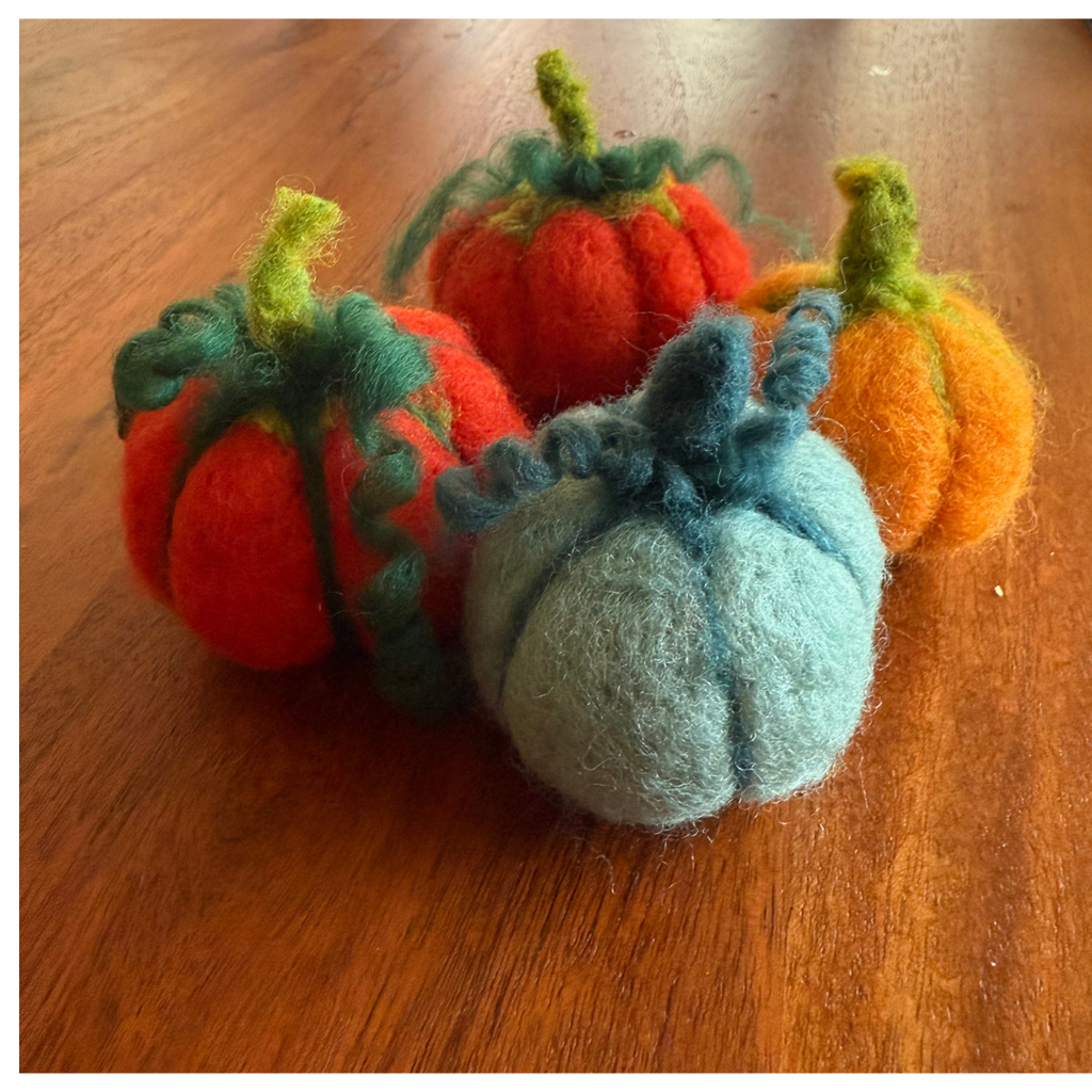 Pumpkin Felting Kit
