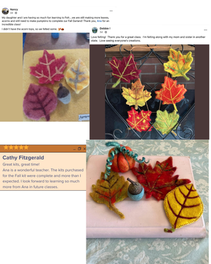 Fall Leaves Needle Felting Kit - Fall Felt-A-Long