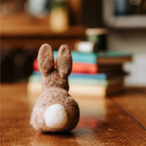 SALE! Baby Bunny Needle Felting Craft Kit