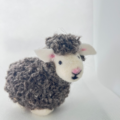 Bella the Sheep Kit