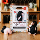 🎀 Sale! Mister Mole Needle Felting Craft Kit