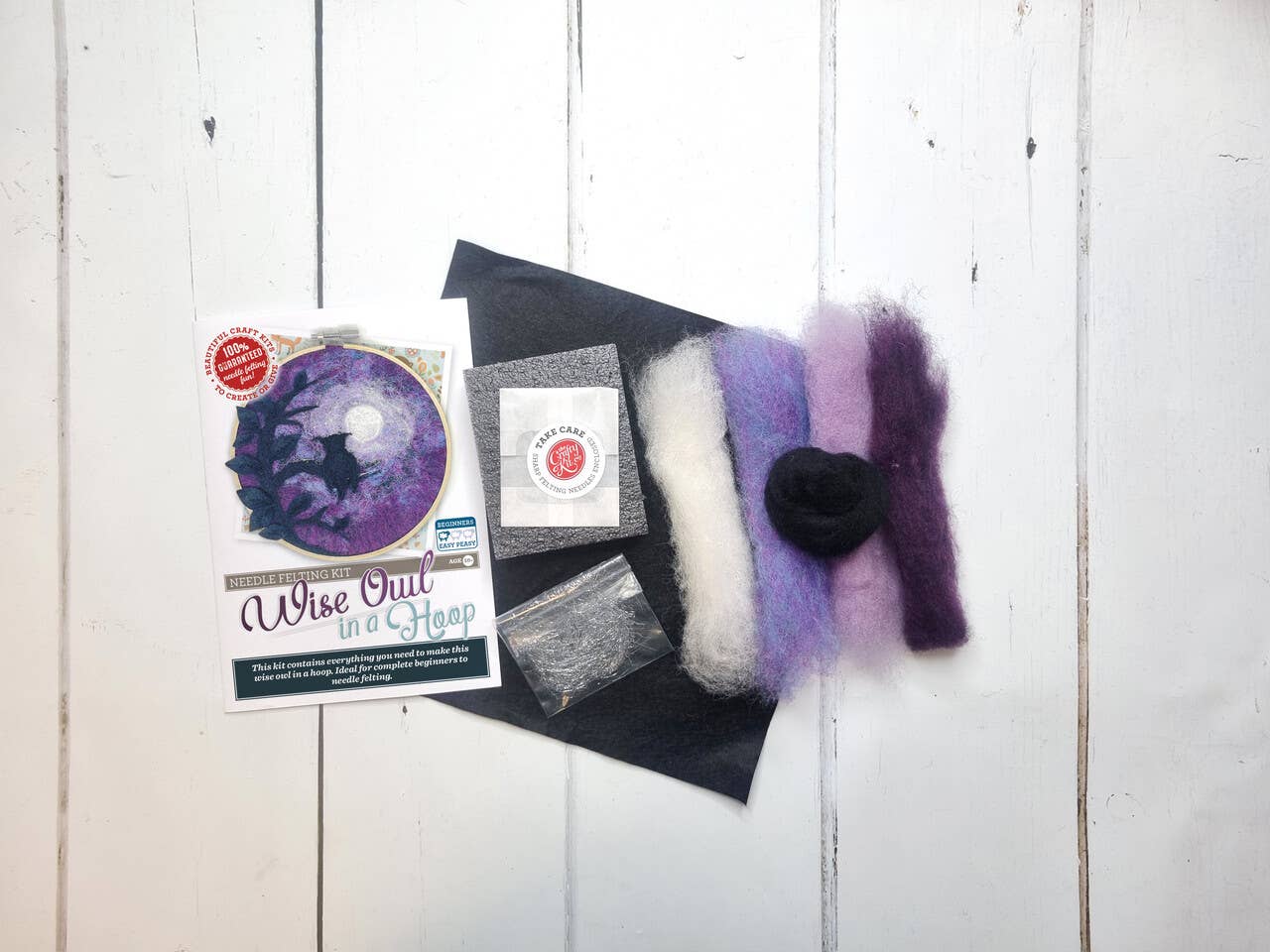 Paint with Wool: Wise Old Owl in a Hoop Needle Felt Craft Kit