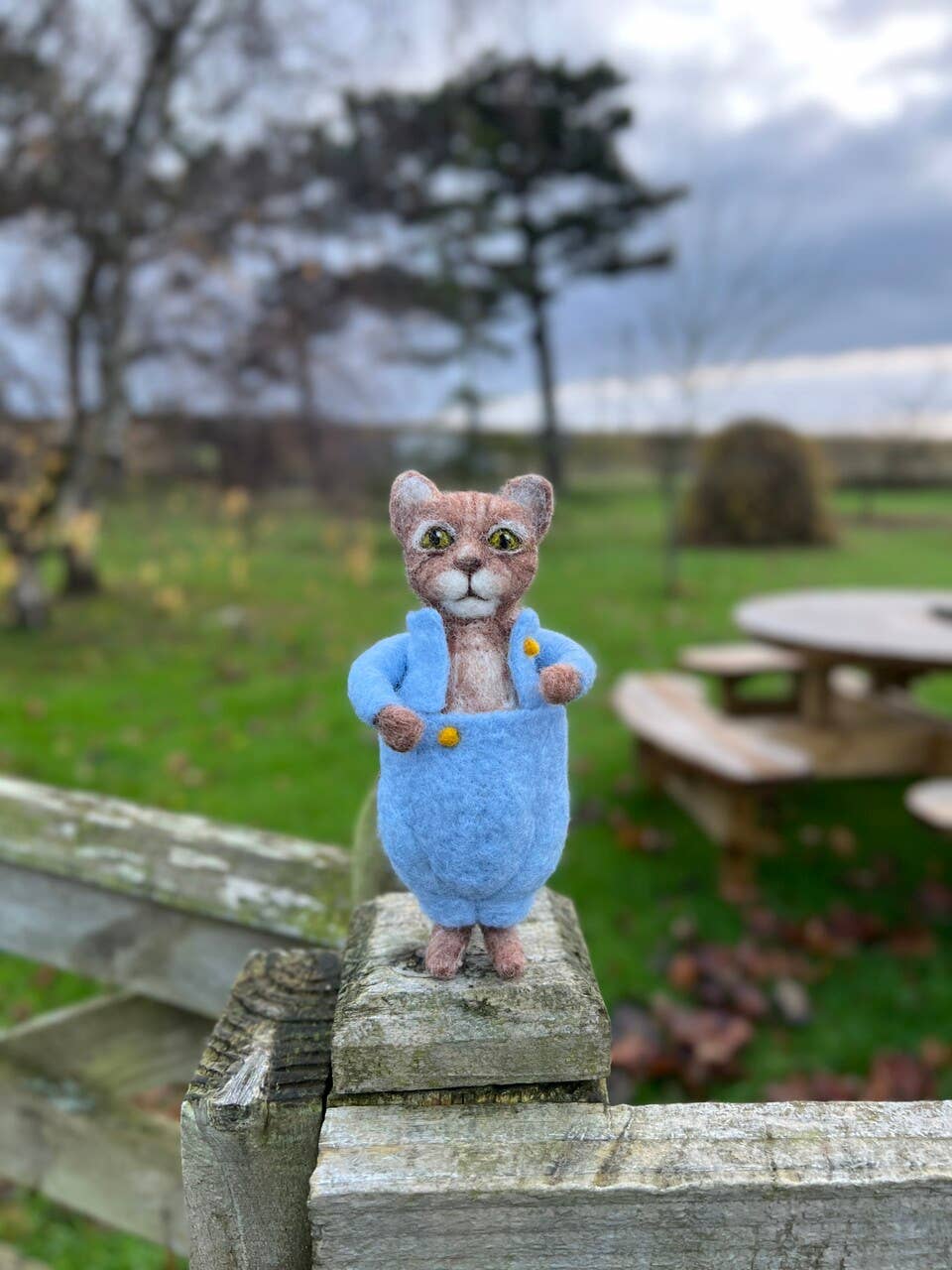 🎀 Sale! Beatrix Potter - Tom Kitten Needle Felting