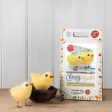 SALE! Chirpy Chicks Needle Felting Craft Kit