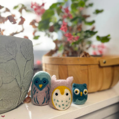 Owl Family Needle Felting Craft Kit