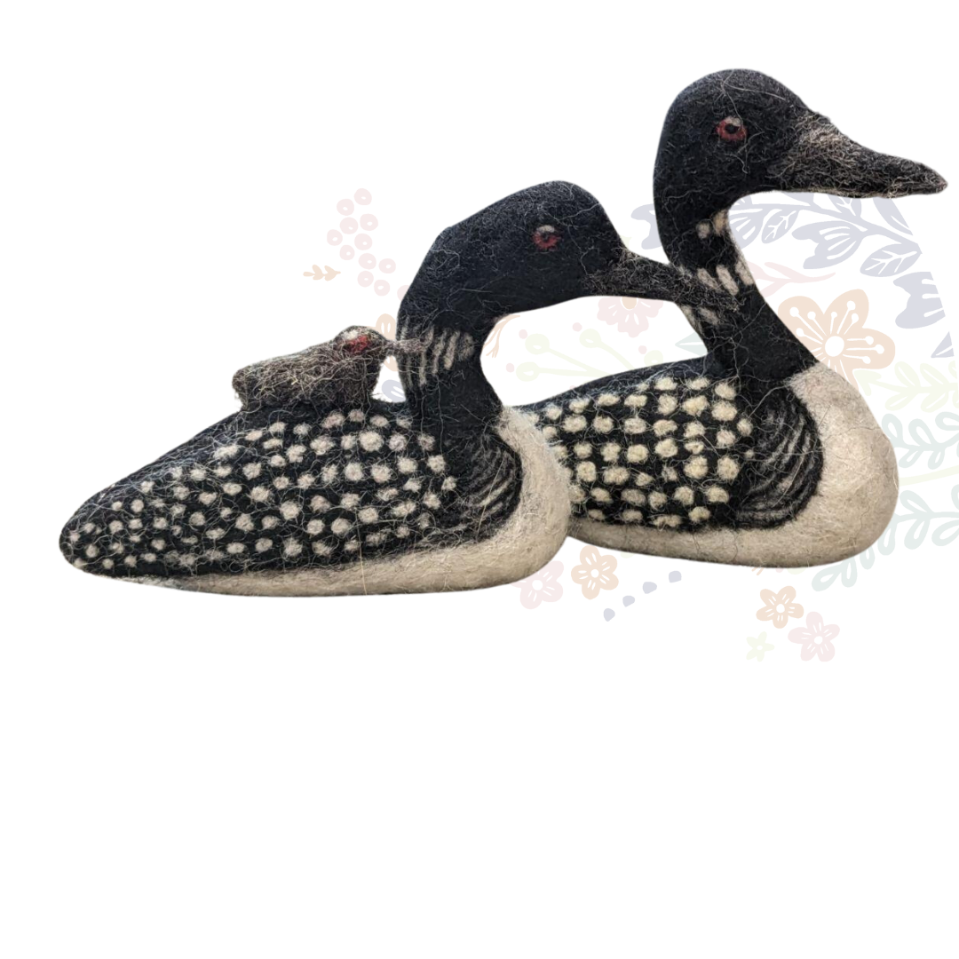 Loon Family