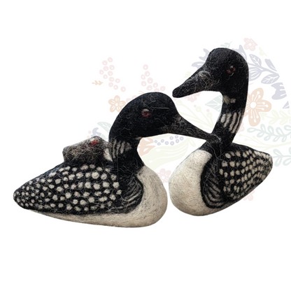 Loon Family