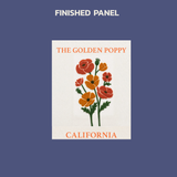 California Golden Poppy - State Flower Collection