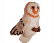 Barn Owl