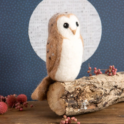 Barn Owl Needle Felting Kit