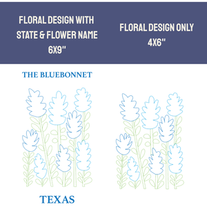 Texas Bluebonnet - State Flower Collection