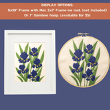 Dwarf Lake Iris
