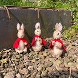 🎀 Sale! Flopsy Mopsy & Cotton-tail  - Beatrix Potter Needle Felting Kit