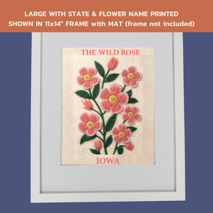 Iowa Wild Rose - State Flower Collection