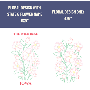 Iowa Wild Rose - State Flower Collection