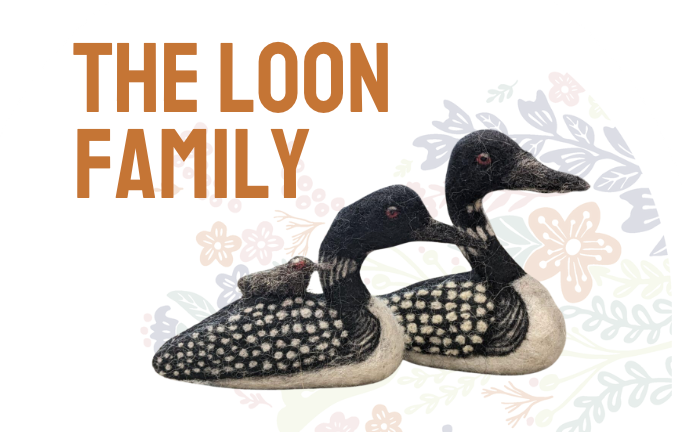 Loon Family