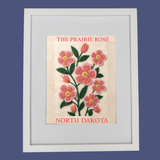 North Dakota Prairie Rose - State Flower Collection