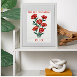Ohio Red Carnation  - State Flower Collection