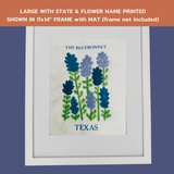 Texas Bluebonnet - State Flower Collection