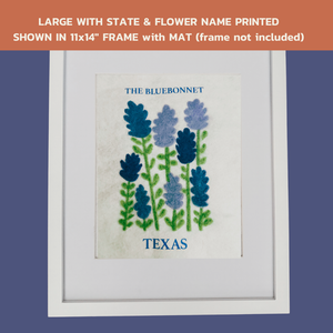 Texas Bluebonnet - State Flower Collection
