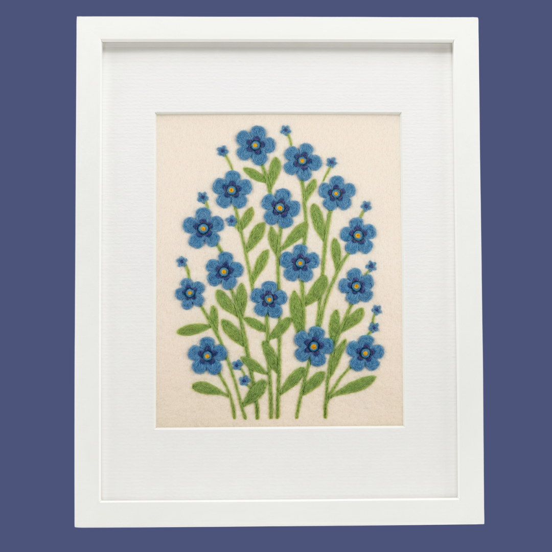 Alaska Forget-Me-Not - State Flower Collection