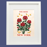 New York Rose- State Flower Collection