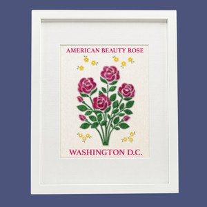 American Beauty Rose- State Flower Collection