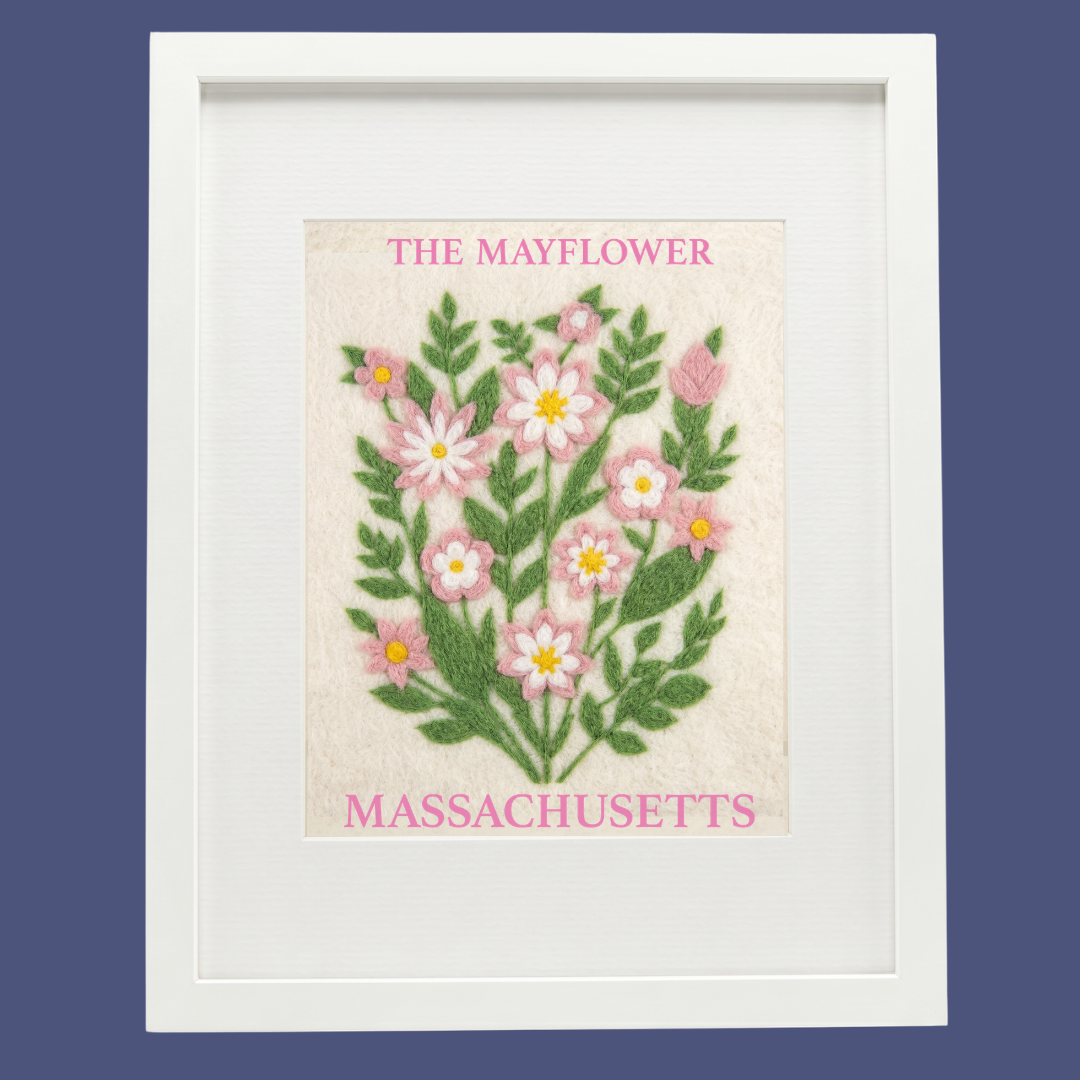 Massachusetts Mayflower- State Flower Collection