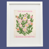 Massachusetts Mayflower- State Flower Collection