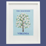 Dogwood-  State Flower Collection