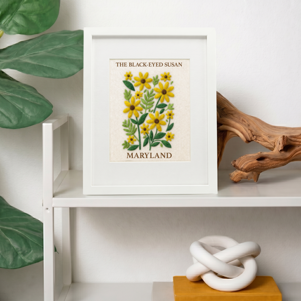 Maryland Black-Eyed Susan  - State Flower Collection