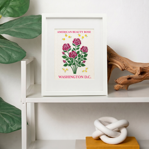 American Beauty Rose- State Flower Collection
